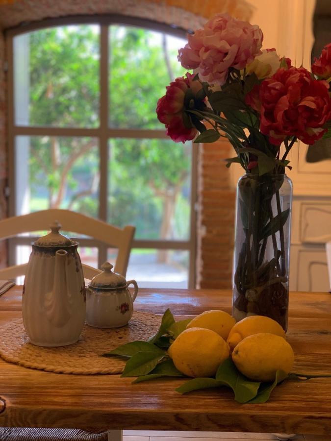 Il Giardino Dei Limoni Bed & Breakfast Suvereto Eksteriør bilde